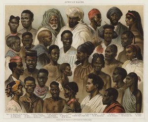 Razze africane da European School