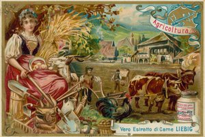 Agricoltura