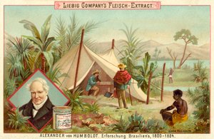 Spedizione di Alexander von Humboldt in Sud America, 1800-1804 da European School