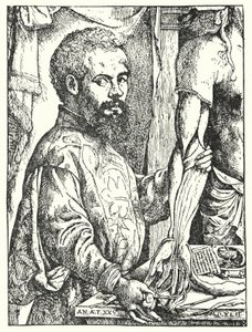 Andreas Vesalius da European School
