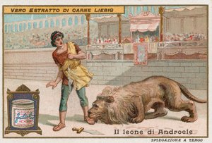 Androcles e il leone da European School