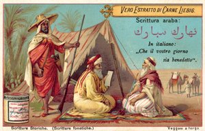 Scrittura araba da European School