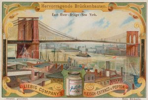 Ponte di Brooklyn, New York