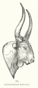 Testa di toro Rhyton (litografia) da European School