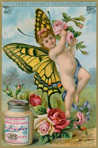 Cherubino Farfalla con Rose Rosse