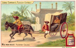 Caleza nello Yucatan