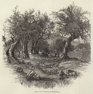 Campo dei Pastori a Betlemme