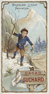 Carl Linnaeus, botanico e zoologo svedese, da bambino da European School