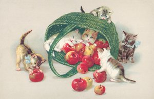 Cartolina gatto (litografia a colori) da European School