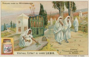 Cimitero vicino a Blida in Algeria da European School