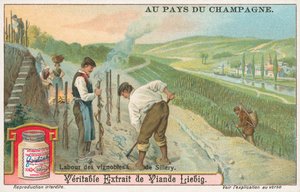 Champagne, carta Liebig, inizio XX secolo (cromo) da European School