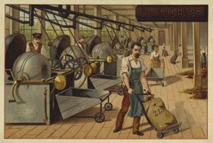 Impianto di lavorazione del cacao da European School