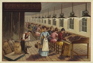 Impianto di lavorazione del cacao