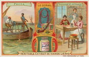 Corallo da European School
