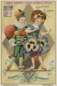 Dalia e viola del pensiero da European School