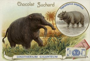 Deinotherium Giganteum e ippopotamo