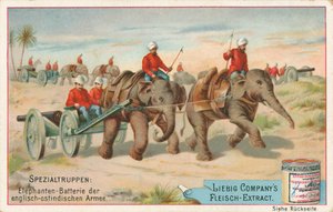 Soldati inglesi trainati da elefanti in India, carta Liebig, inizio XX secolo (cromo) da European School