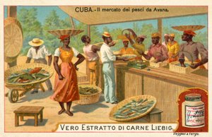 Mercato del pesce dell