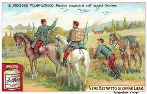 Piccioni viaggiatori dell