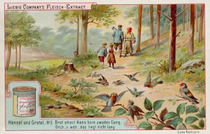 Hansel e Gretel: Uccelli che mangiano le briciole di pane lasciate da Hansel per trovare la strada di casa (cromolitografia)