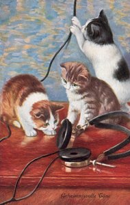 Cartolina umoristica con gatto (litografia a colori) da European School
