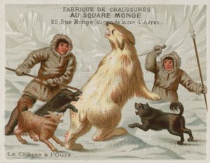 Caccia agli orsi polari con cani