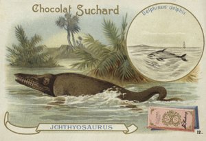 Ittiosauro e delfino comune
