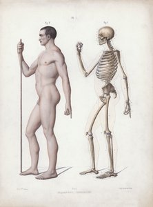 Illustrazione per L