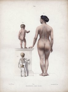 Illustrazione per L