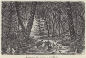 Veduta immaginaria di una foresta del periodo carbonifero