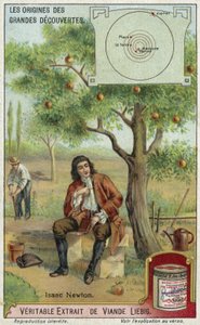 Isaac Newton e la gravità