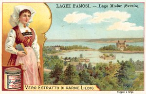 Lago Malar, Svezia da European School