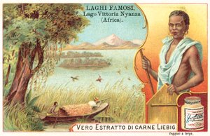 Lago Vittoria, Africa da European School
