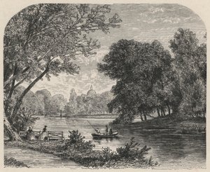 Il bosco a L