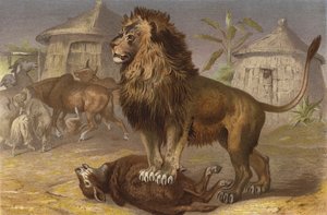 Leone nella seriba da European School