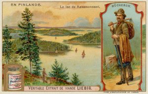 Boscaiolo e Lago e Foreste Vicino a Kesamonsaari