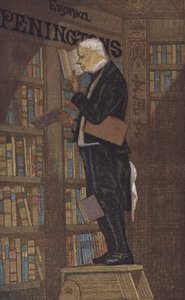 Uomo in cima a una scala in una libreria