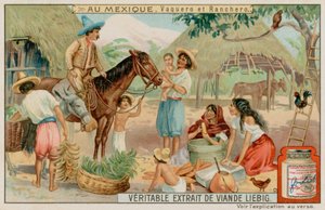Rancheros e Cowboy Messicani da European School