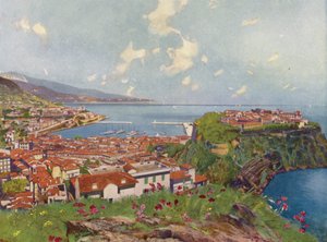 Monaco, la Rocca e la vista generale (litografia a colori) da European School