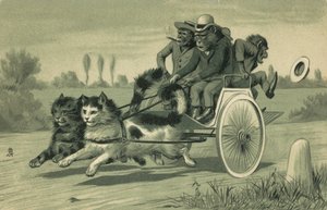 Scimmie che guidano una carrozza trainata da due gatti da European School