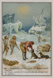 Nansen e il Fram da European School