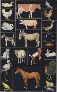 Pagina del libro illustrato per bambini, Animali (litografia a colori) da European School
