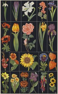 Pagina del libro illustrato per bambini Fiori (litografia a colori) da European School