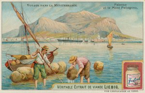 Palermo e Monte Pellegrino