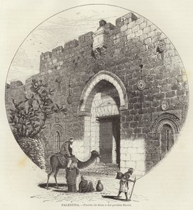 Palestina, Porta di Sion o del profeta Davide da European School