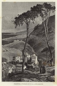 Palestina, Sorgenti del Lillano e villaggio maronita da European School