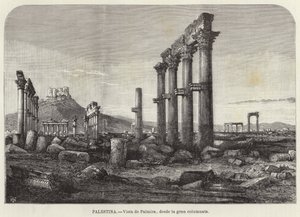 Palestina, Vista di Palmira, dalla grande colonnata da European School