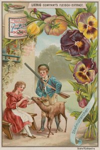 Viola del pensiero da European School