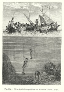 Pesca delle ostriche perlifere sulla costa dell