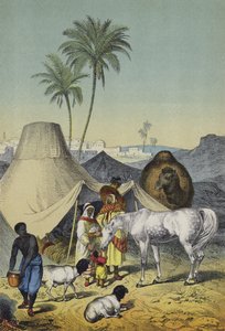 Persone, animali e piante del Nord Africa e Arabia da European School